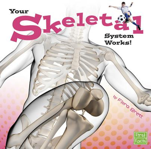 Your Skeletal System Works! (Paperback)