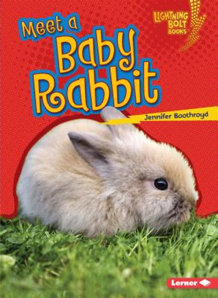 Meet a Baby Rabbit (Paperback)