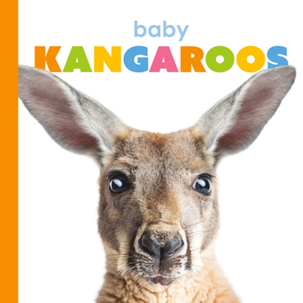 Baby Kangaroos (Library Binding)