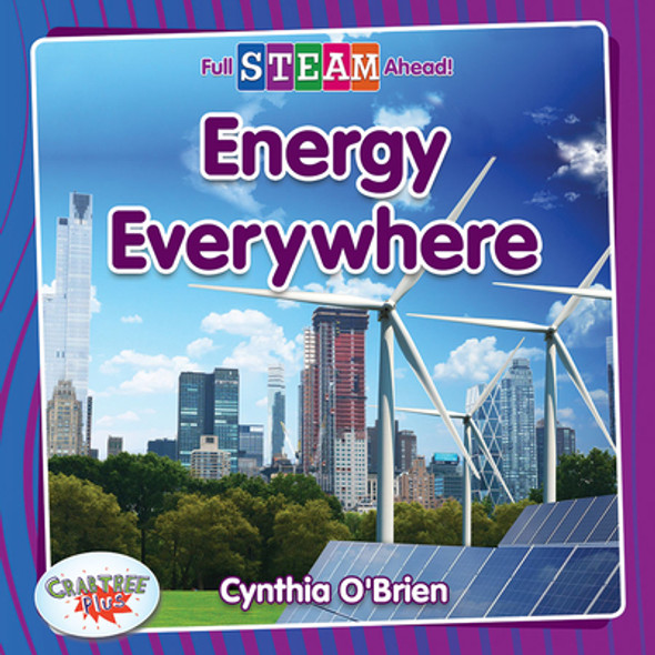 Energy Everywhere (Paperback)