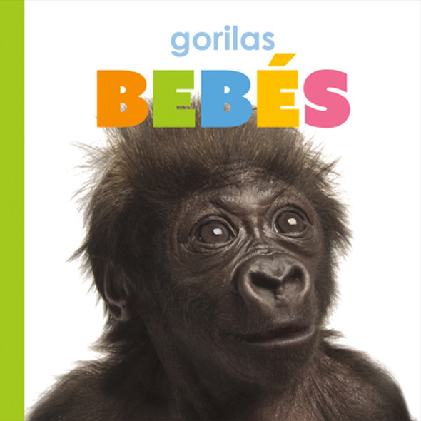 Gorilas Bebés (Library Binding)