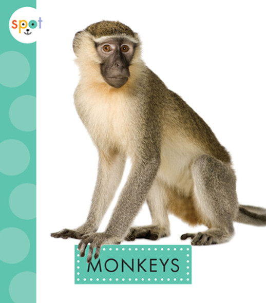 Monkeys (Hardcover)