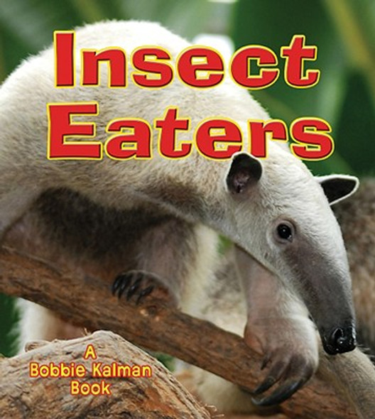 Insect Eaters (Paperback)