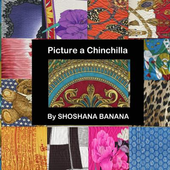 Picture a Chinchilla (Paperback)