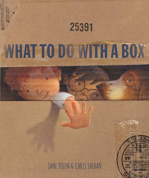 What to Do with a Box (Hardcover)
