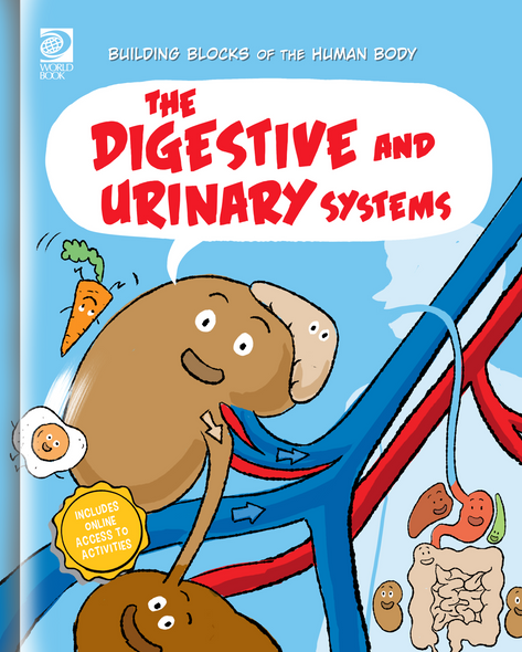 Building Blocks of the Human Body: The Digestive and Urinary Systems (Paperback)