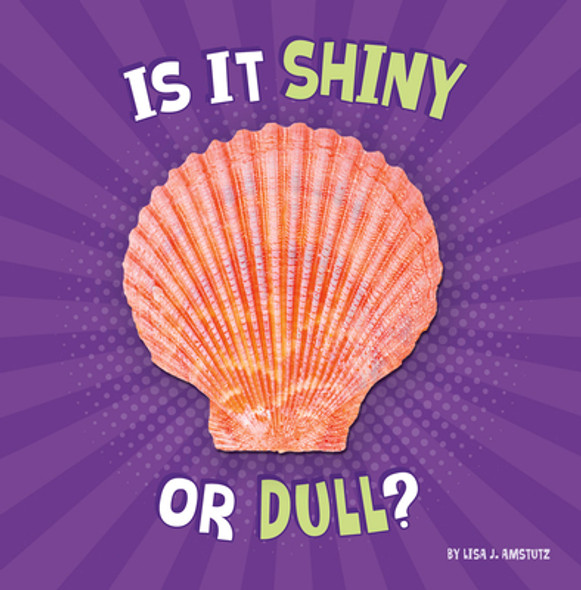 Is It Shiny or Dull? (Paperback)