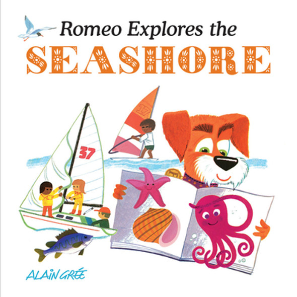 Romeo Explores the Seashore (Hardcover)