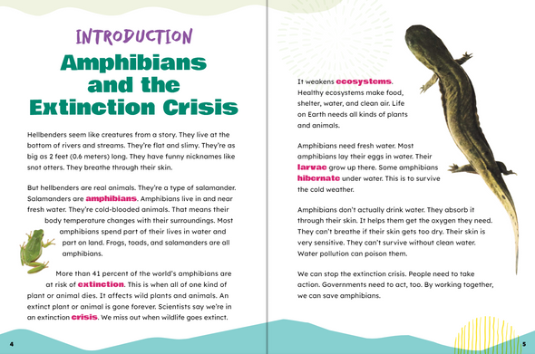 Take Action: Save Amphibians (Paperback)
