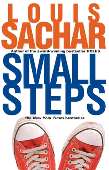 Small Steps (Paperback)
