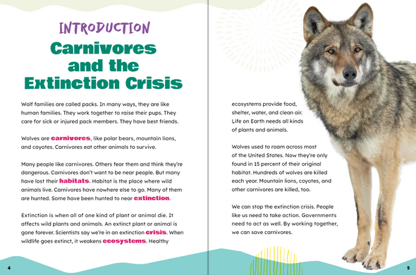 Take Action: Save Carnivores (Paperback)