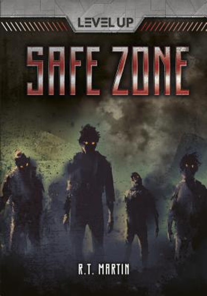 Safe Zone (Paperback)