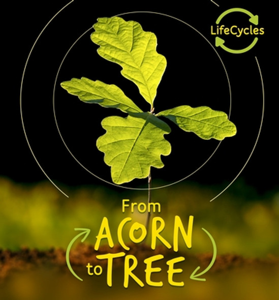 From Acorn to Tree (Library Binding)