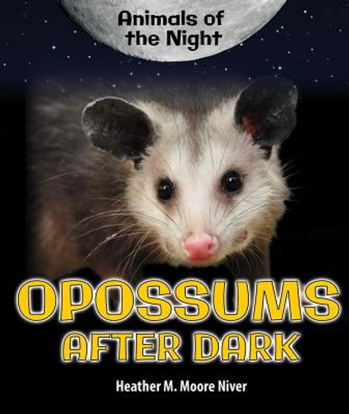 Opossums After Dark (Library Binding)