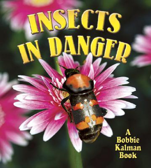 Insects in Danger (Hardcover)