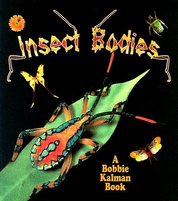 Insect Bodies (Paperback)