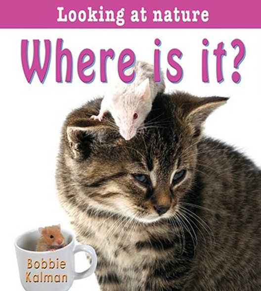 Where Is It? (Paperback)