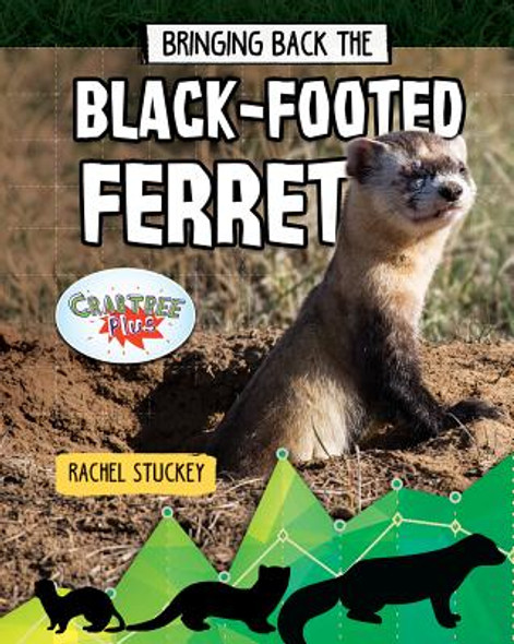 Bringing Back the Black-Footed Ferret (Library Binding)
