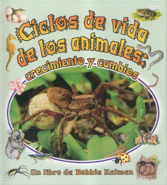 Ciclos de Vida de Los Animales: Crecimiento Y Cambios (Animals Life Cycles: Growing and Changing) (Library Binding)