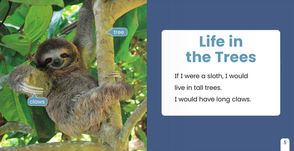 If I Were an Animal: If I Were A Sloth (Paperback)