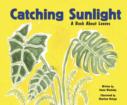 Catching Sunlight: A Book about Leaves (Paperback)