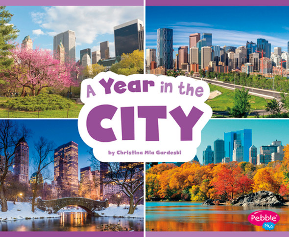 A Year in the City (Paperback)