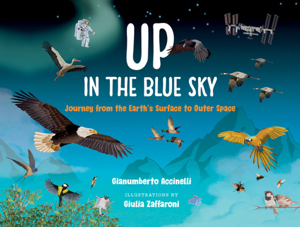 Up in the Blue Sky: Journey from the Earth's Surface to Outer Space (Hardcover)
