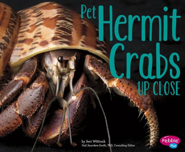 Pet Hermit Crabs Up Close (Paperback)