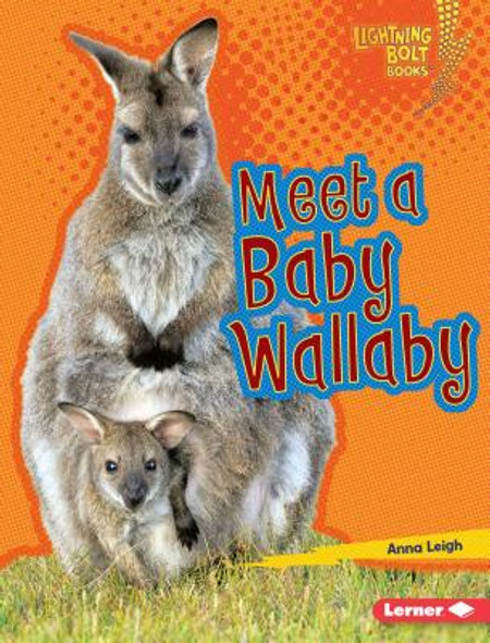 Meet a Baby Wallaby (Library Binding)