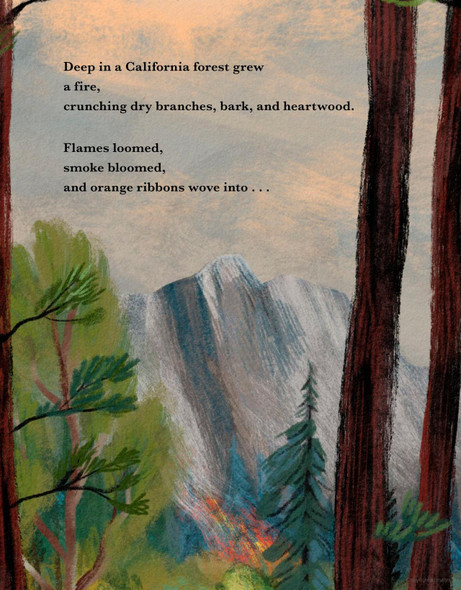 Fire Flight (Hardcover)