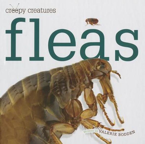 Fleas (Hardcover)