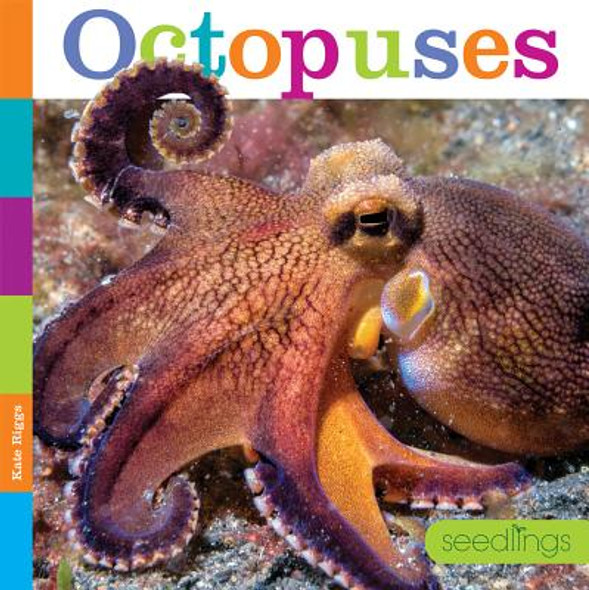 Seedlings: Octopuses (Paperback)