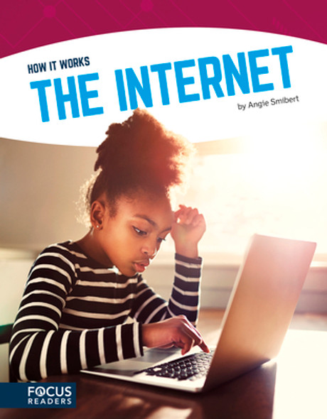 The Internet (Paperback)