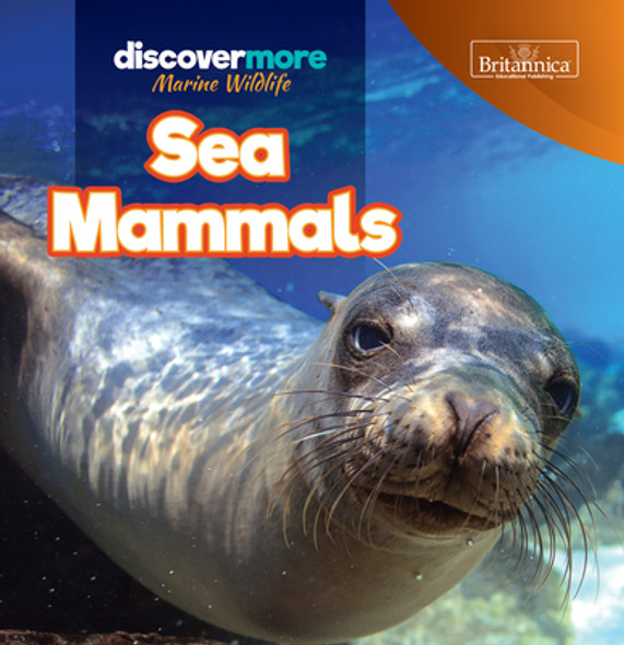 Sea Mammals (Library Binding)
