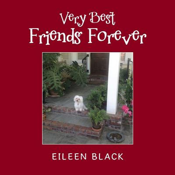 Very Best Friends Forever (Paperback)