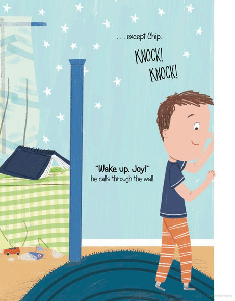 Sense of Play (Hardcover)
