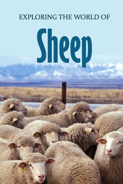 Exploring the World of Sheep: Educational Animals Book For Kids (Paperback)