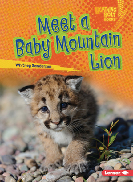 Meet a Baby Mountain Lion (Paperback)