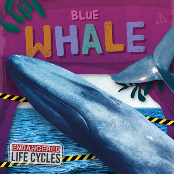 Blue Whale (Library Binding)
