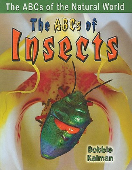 The ABCs of Insects (Paperback)