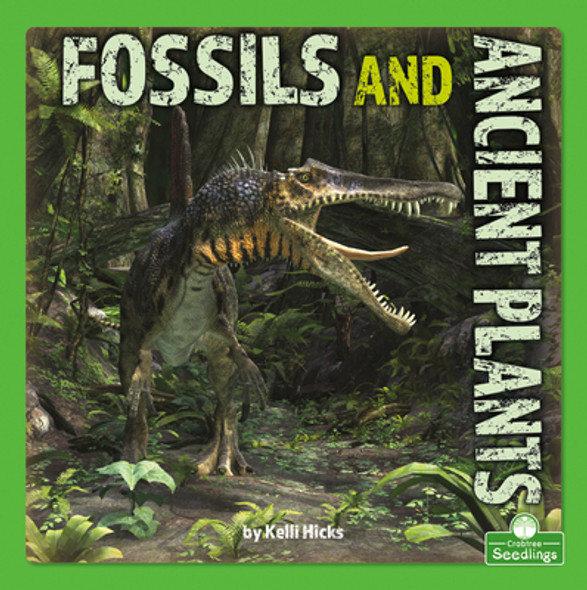 Fossils and Ancient Plants (Library Binding)