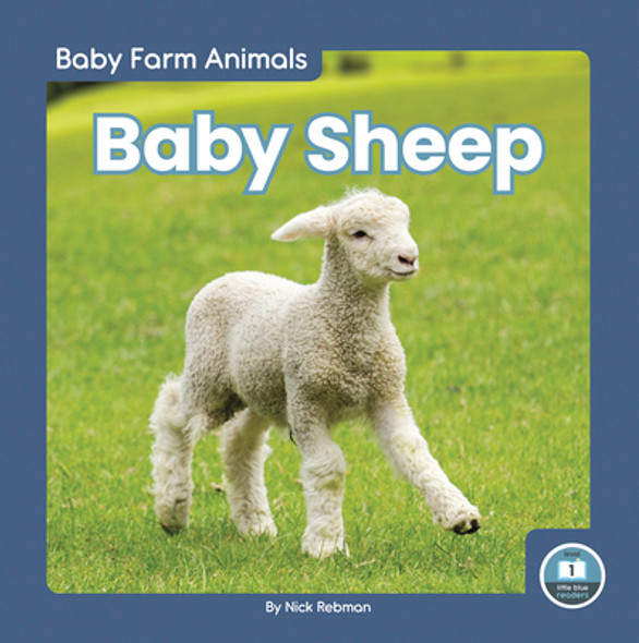 Baby Sheep (Library Binding)