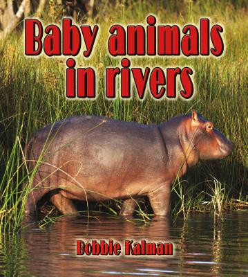 Baby Animals in Rivers (Paperback)