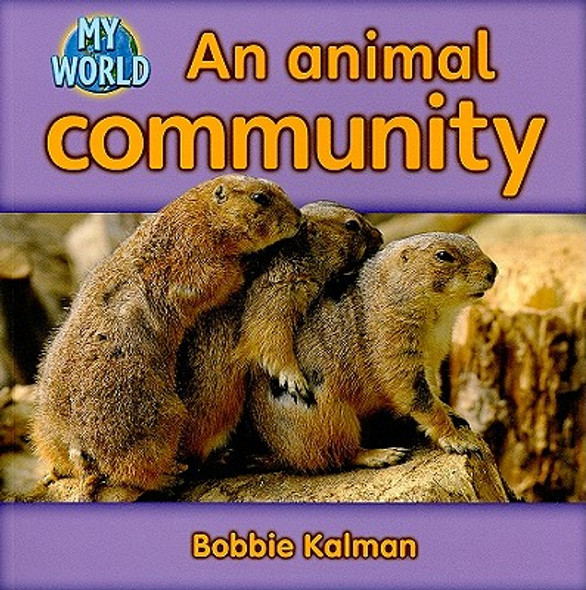 An Animal Community (Paperback)