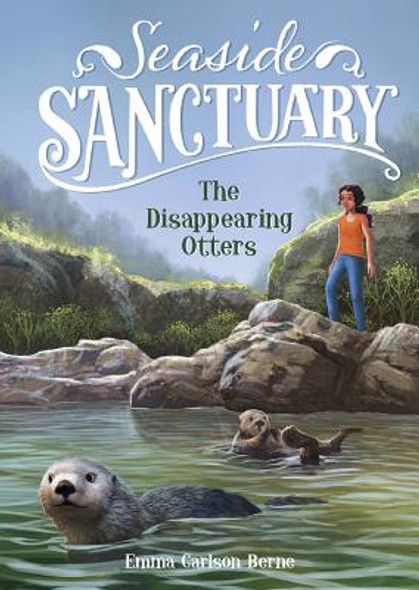 The Disappearing Otters (Paperback)