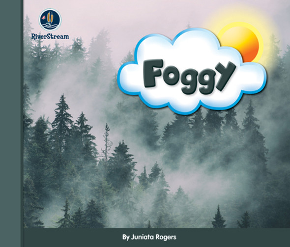 Eye on the Sky: Foggy (Paperback)