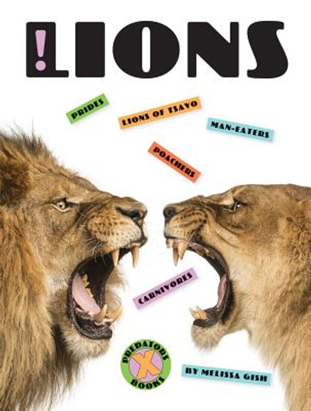 X-Books: Lions (Paperback)