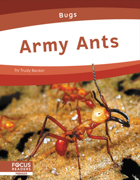 Army Ants (Library Binding)