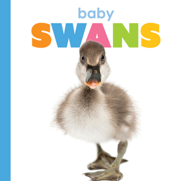 Baby Swans (Library Binding)