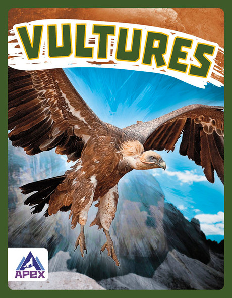 Birds of Prey: Vultures (Paperback) Birds of Prey: Vultures (Paperback)